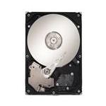 Seagate ST3250820NA