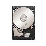 Seagate ST500NM0041