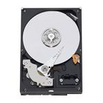 Western Digital WD10000CS