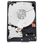 Dell Y4D8RWQE