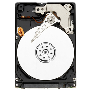Western Digital WD1600BUDT-50PK