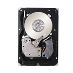 Seagate 9FR066004