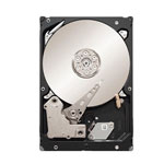 Seagate ST500NM0021