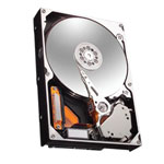 Seagate ST91000642NS