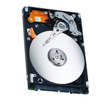 Seagate ST9500325ASSP1