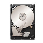 Seagate ST9600104SS