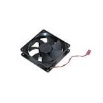 Dell 11WER