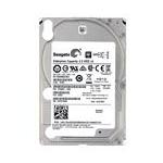 Seagate 1FN201-002