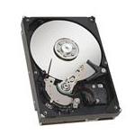 Dell 2M919