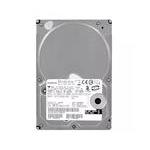 Hitachi HDT722520DLAT80