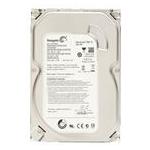 Seagate ST250DM000