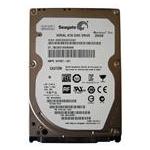Seagate ST250LT003