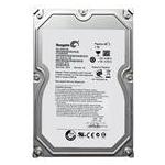Seagate ST31000322CS