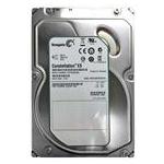 Seagate ST31000424SS
