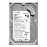 Seagate ST3120813AS