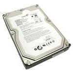 Seagate ST31500341AS