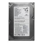 Seagate ST3160021A