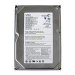 Seagate ST3160022A