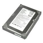 Seagate ST3160023A
