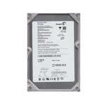 Seagate ST3160023AS