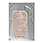 Seagate ST3160212A