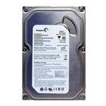 Seagate ST3160215ACE