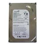 Seagate ST3160812SV