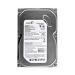 Seagate ST3160815A