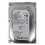 Seagate ST3160815AS