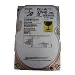 Seagate ST318417N