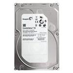 Seagate ST32000644NS