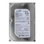 Seagate ST3250820A