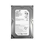 Seagate ST3250824NS