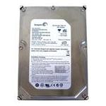 Seagate ST3300620A