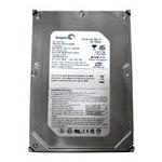 Seagate ST3300820A