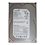 Seagate ST3300822A