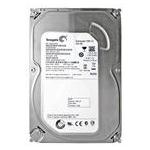 Seagate ST3500413AS