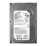 Seagate ST380811AS