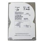 Seagate ST39173N