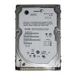 Seagate ST910021A