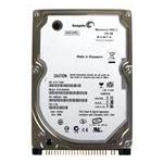 Seagate ST9100823A