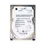 Seagate ST9100828A