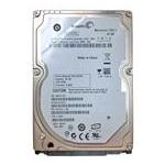 Seagate ST980813ASG