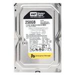 Western Digital WD2503ABYX