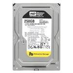 Western Digital WD2503ABYZ-011FA0