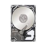 Seagate 1FM202-002
