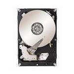 Seagate 1RU162-500