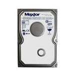 Maxtor 061107