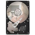 Seagate 9GW142-305