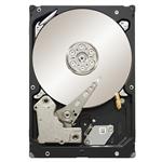 Seagate 9JW154-080